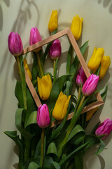 Bouquet of colorful tulips with creative photo frame in pastel green background. Copy space for greeting card. Holiday flowers springtime atmosphere