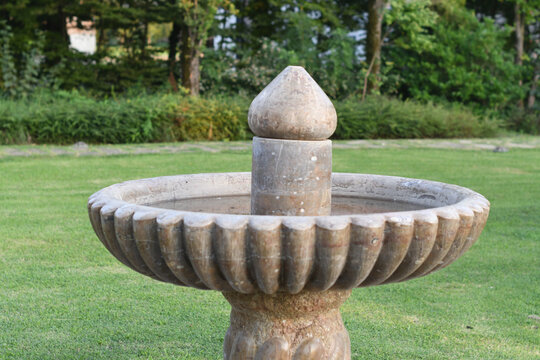 Weathered stone birdbath in lush green garden setting outdoors