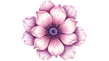 Fototapeta premium Vibrant Pink And Purple Watercolor Flower On Black