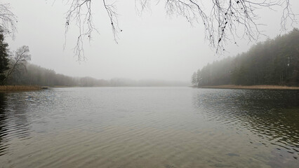 Misty Lake Forest: Tranquil Winter Morning