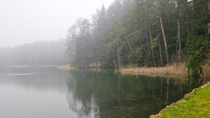Misty Lake Forest: Tranquil Winter Morning