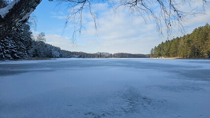 Tranquil Frozen Lake and Winter Pine Forest