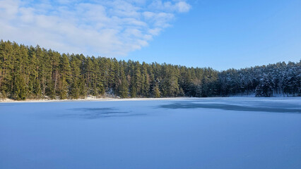 Tranquil Frozen Lake and Winter Pine Forest
