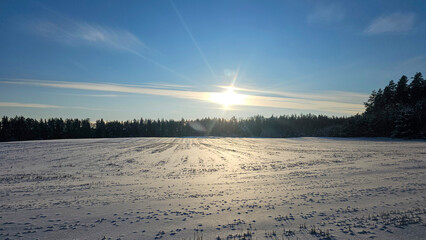 Vast Snowfield, Blue Sky, Forest Edge