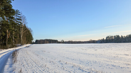 Vast Snowfield, Blue Sky, Forest Edge