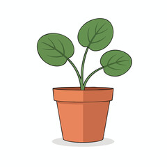 Obraz premium Potted Plant with Green Leaves