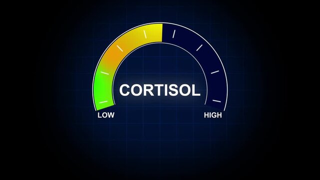 Cortisol Level Indicator Gauge Low to Stress Hormone Meter Needle Animation