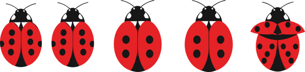 Cute ladybug vector icons, red ladybird insect clipart set, bug illustration pack with spots and wings © MstMukta
