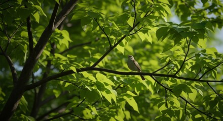 Fototapeta premium Bird on Tree Branch with Lush Green Leaves in Sunlight
