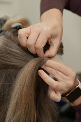 Fototapeta premium Hairdresser Preparing Childs Hair for Styling in Beauty Salon