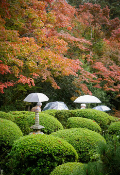 Umbrellas on Temple Grounds, Shisendo