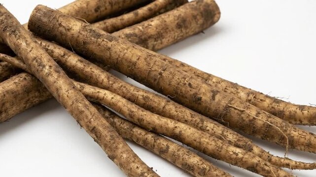 A pristine, close-up studio shot showcases a generous pile of fresh, unwashed burdock roots, also known as gobo, artfully arranged against a clean white background. The long, slender root vegetables d
