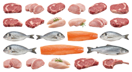 Assortment of Raw Meat and Fish Protein Sources Isolated on White