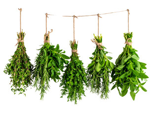 Organic herbs plant hanging with rope isolated on transparent background. PNG , se of