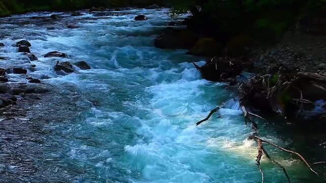  video of Staircase rapids in Olympic National Park Washington State