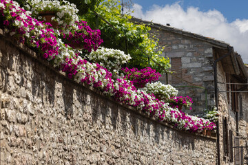 Typical narrow medieval Assisi street with warm stone facades, flower pots, and spiritual stillness, Assisi, Italy.