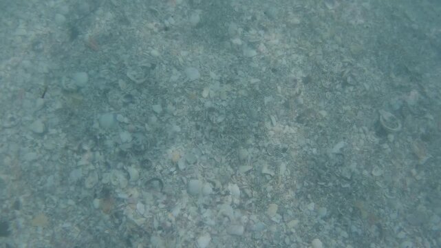 Blue water with rays of sunlight illuminating underwater. Footage taken by a go pro. Summer time in New Zealand.