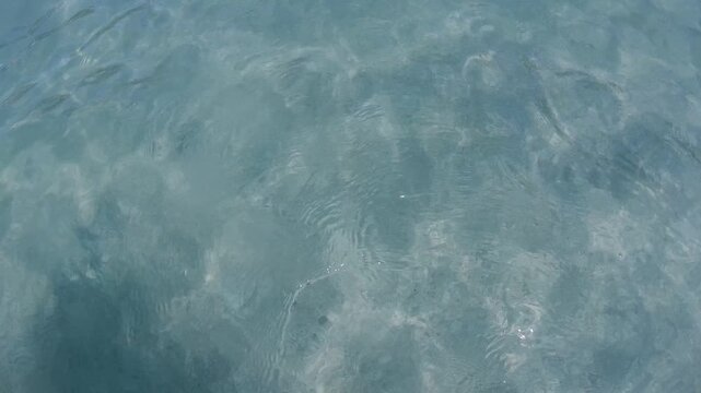 Blue water with rays of sunlight illuminating underwater. Footage taken by a go pro. Summer time in New Zealand.