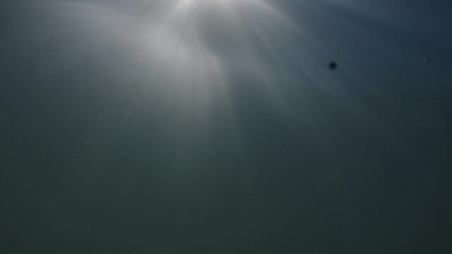 Blue water with rays of sunlight illuminating underwater. Footage taken by a go pro. Summer time in New Zealand.