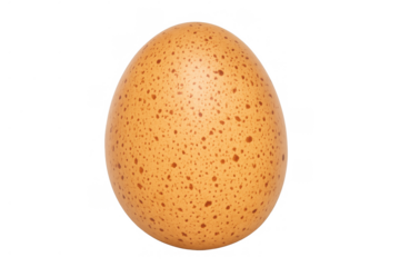 Brown speckled organic chicken egg raw for healthy cooking and protein nutrition, isolated on transparent background