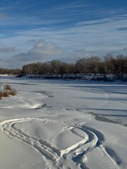 A serene winter landscape under bright sun: snow-covered field with tire tracks, bare trees in the foreground, dense forest in the background, clear blue sky. Peaceful, crisp winter day.