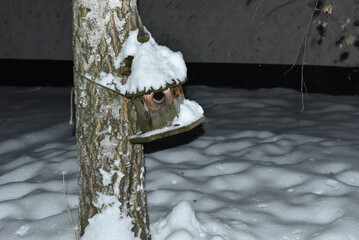 Birdhouse in winter