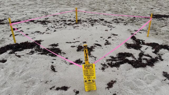 Miami, FL, USA, June 26, 2025: SM -Warning sign "Do not disturb sea turtle nest". A sign posted on a sea turtle nesting area warns of punishment and fines if nest or turtle hatchlings are disturbed. 