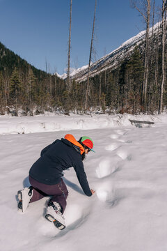 A woman enjoys grizzly tracks in the snow in Canada.