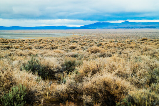 Summerlake desert plateau in the winter