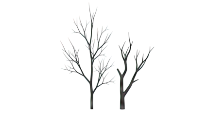 Two bare black trees against a white background