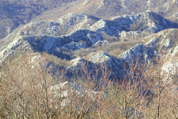 Bare deciduous trees framing rugged rocky mountains during autumn in the Orjen massif. Represents dormant forest ecology, highland vegetation patterns, Mediterranean climate, and geological formations