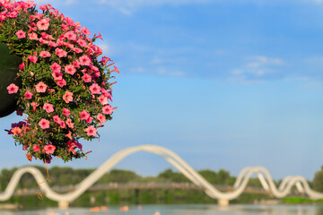 urban landscaped idyllic environment space colorful scene with foreground flower vase colorful plants and blurred background modern architecture bridge wavy design object across river