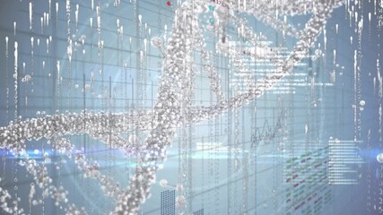 Animation of medical data processing over human model - Powered by Adobe