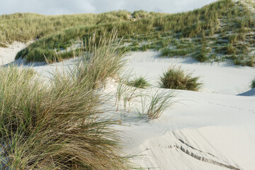 D&uuml;nenlandschaft an der Nordseek&uuml;ste