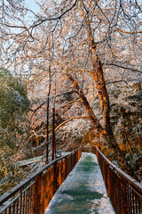 Sunrise on the snow-covered trails in the Moganshan Scenic Area, Deqing County, Huzhou City, Zhejiang Province, China.