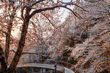 Sunrise on the snow-covered trails in the Moganshan Scenic Area, Deqing County, Huzhou City, Zhejiang Province, China.
