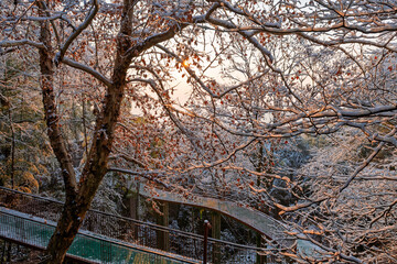 Sunrise on the snow-covered trails in the Moganshan Scenic Area, Deqing County, Huzhou City, Zhejiang Province, China.