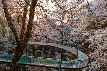 Sunrise on the snow-covered trails in the Moganshan Scenic Area, Deqing County, Huzhou City, Zhejiang Province, China.