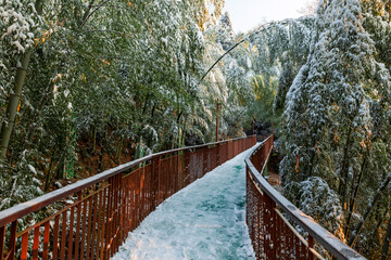 Sunrise on the snow-covered trails in the Moganshan Scenic Area, Deqing County, Huzhou City, Zhejiang Province, China.