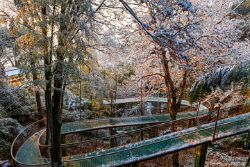 Sunrise on the snow-covered trails in the Moganshan Scenic Area, Deqing County, Huzhou City, Zhejiang Province, China.