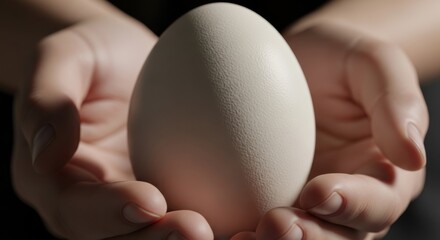 Hands gently cupping a large white egg in dark setting, symbolizing fragile new life, potential, and organic freshness for health campaigns.