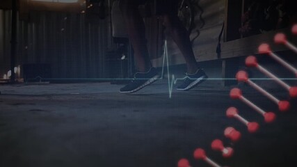 Animation of cardiograph and dna strand over diverse people boxing