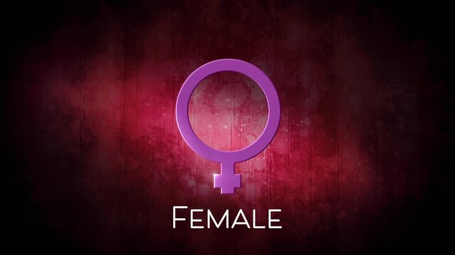 Animation of pink female gender symbol with female text against brown background, copy space
