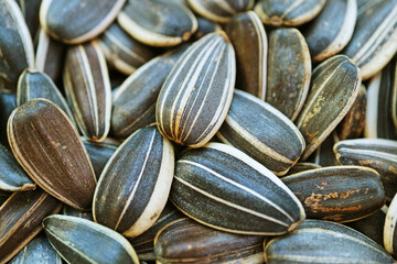 Close-up of pattern and texture of raw sunflower seed hulls