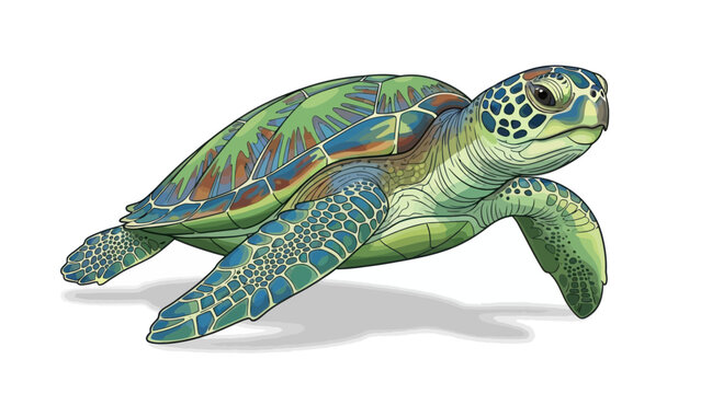green turtle isolated on white