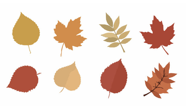Elegant autumn leaves outline vector set with colorful botanical elements isolated on white
