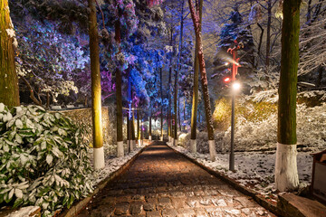 Snow-covered night view of Lu Hua Dao Park in Moganshan Scenic Area, Deqing County, Huzhou City, Zhejiang Province, China.