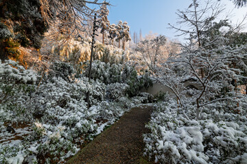 Sunrise after snowfall at Lu Hua Dao Park, Moganshan Scenic Area, Deqing County, Huzhou City, Zhejiang Province, China.