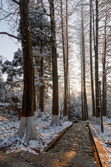 Sunrise after snowfall at Lu Hua Dao Park, Moganshan Scenic Area, Deqing County, Huzhou City, Zhejiang Province, China.