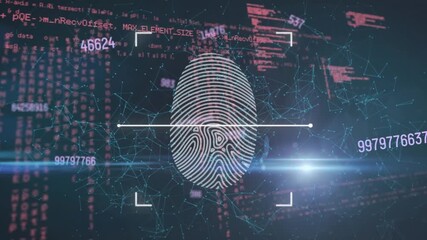 Animation of biometric fingerprint and data processing